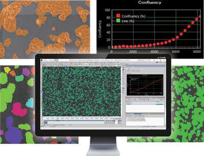 CA （Cell Analysis）module 活細(xì)胞影像分析模組